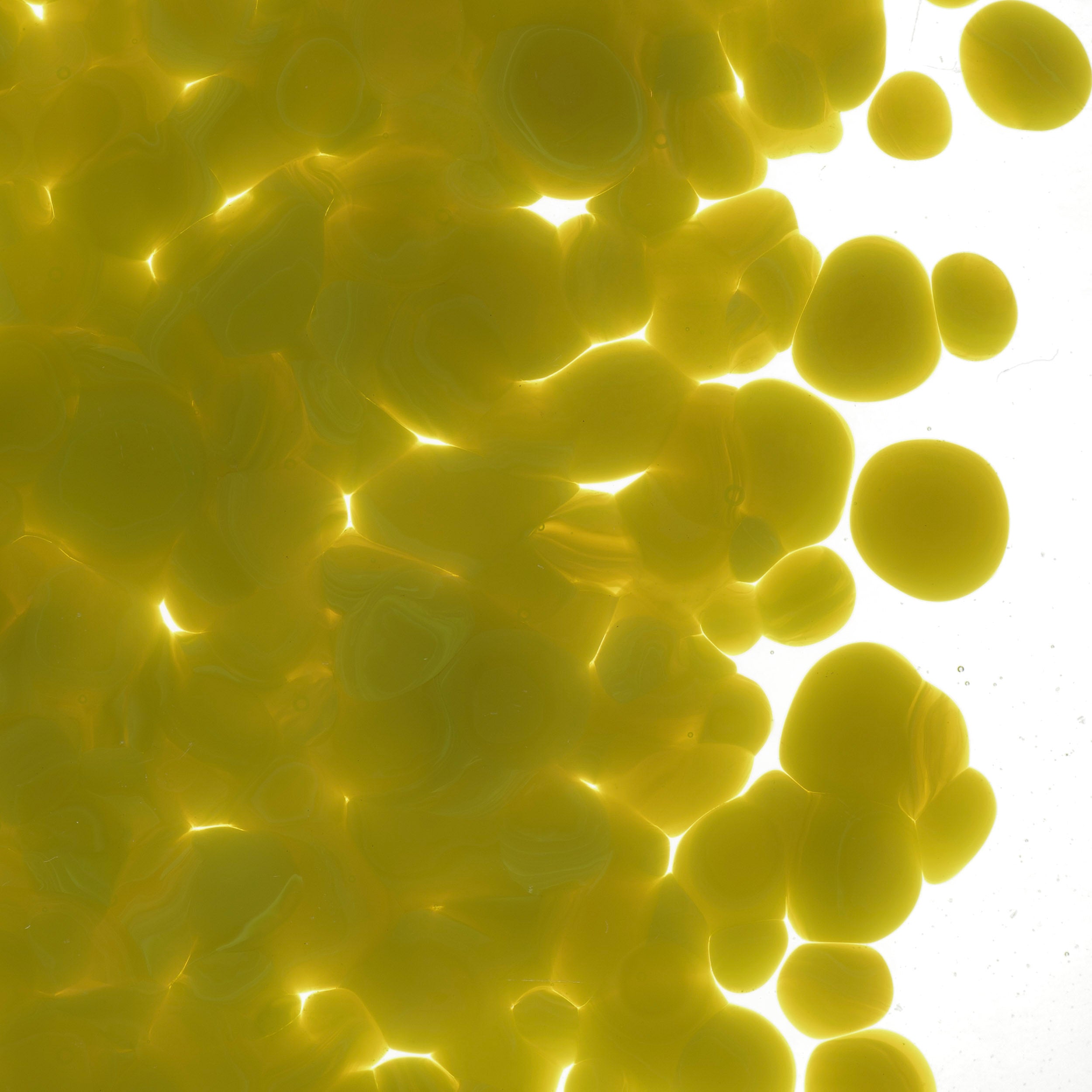 0221 Citronelle Opal Frit