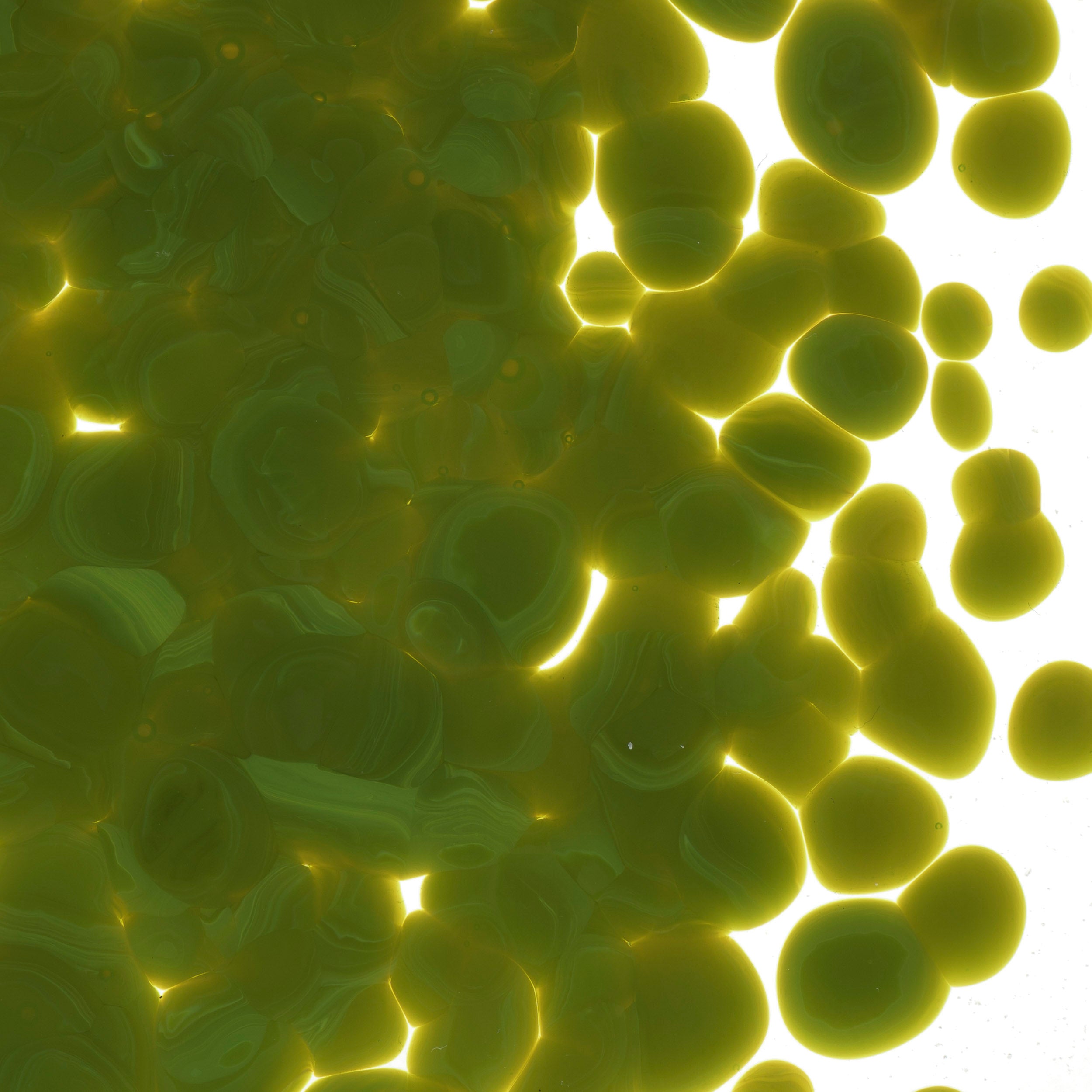 0222 Avocado Opal Frit