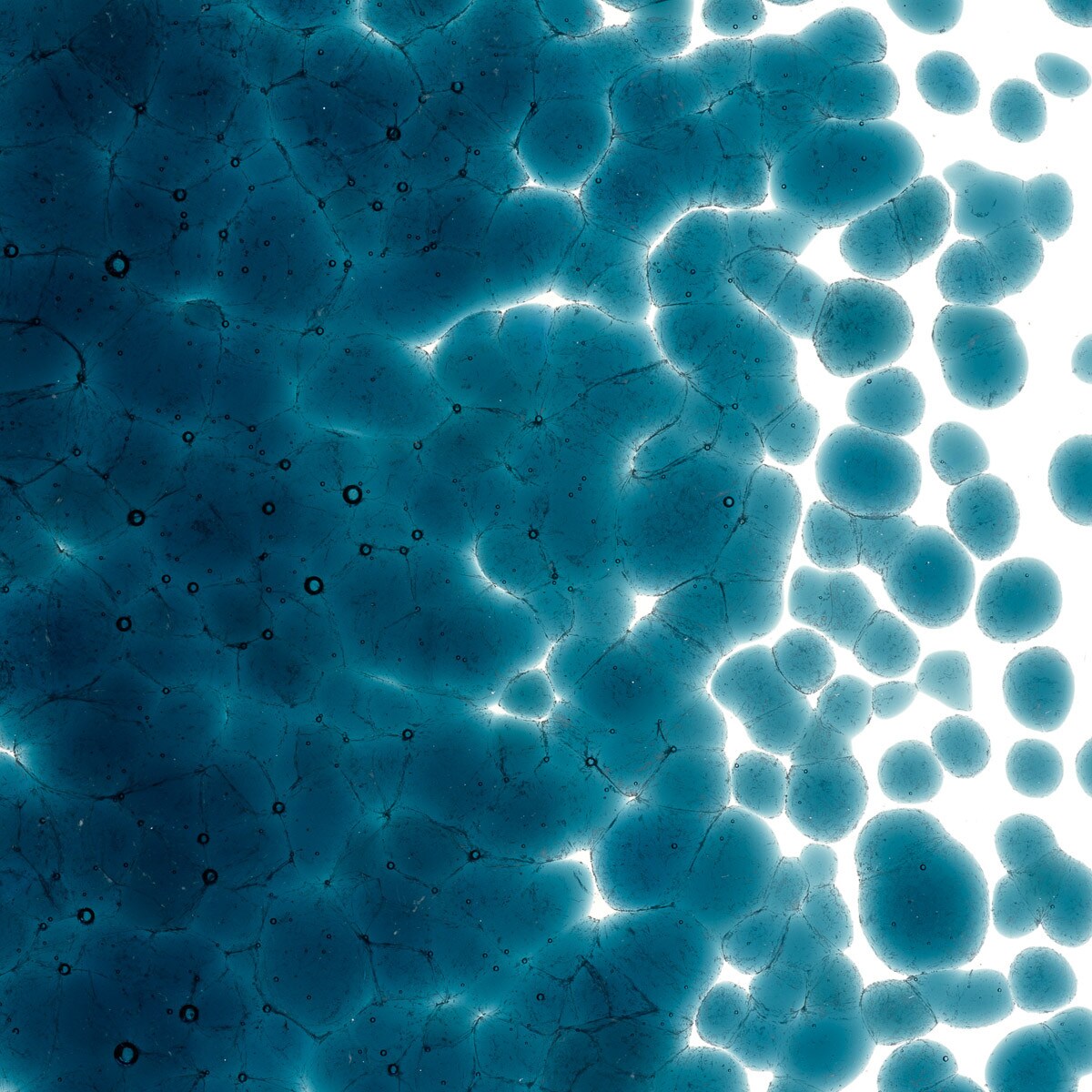 1108 Aquamarine Blue Transparent Frit