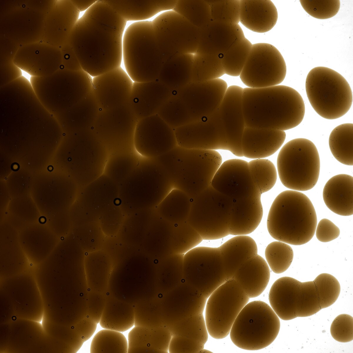 1109 Dark Rose Brown Transparent Frit