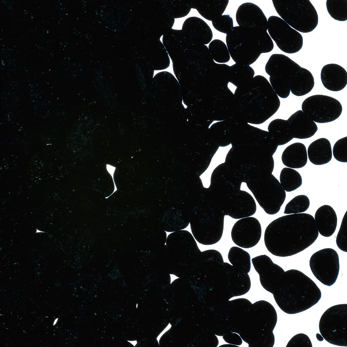 1140 Aventurine Blue Transparent Frit