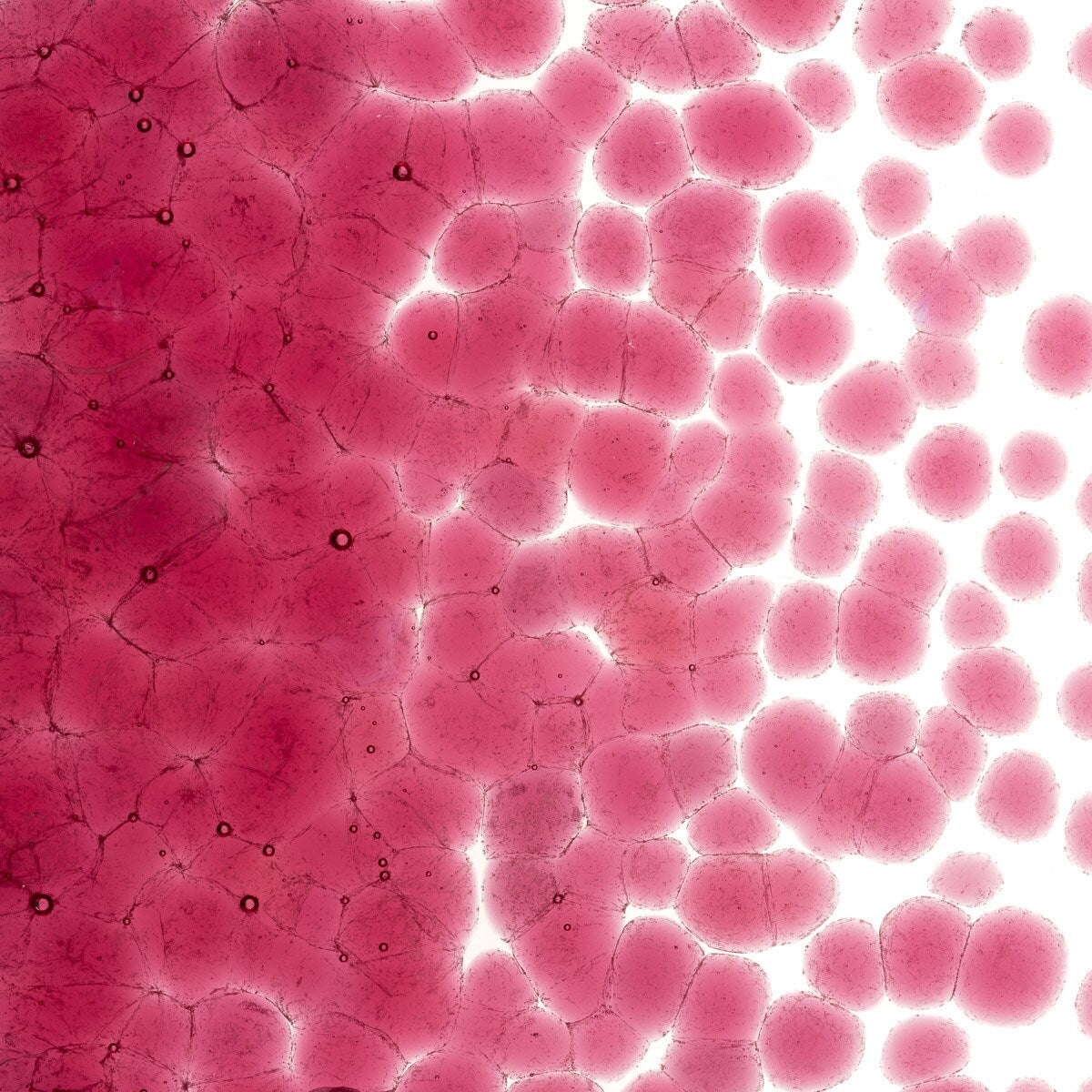 1215 Light Pink Transparent Frit