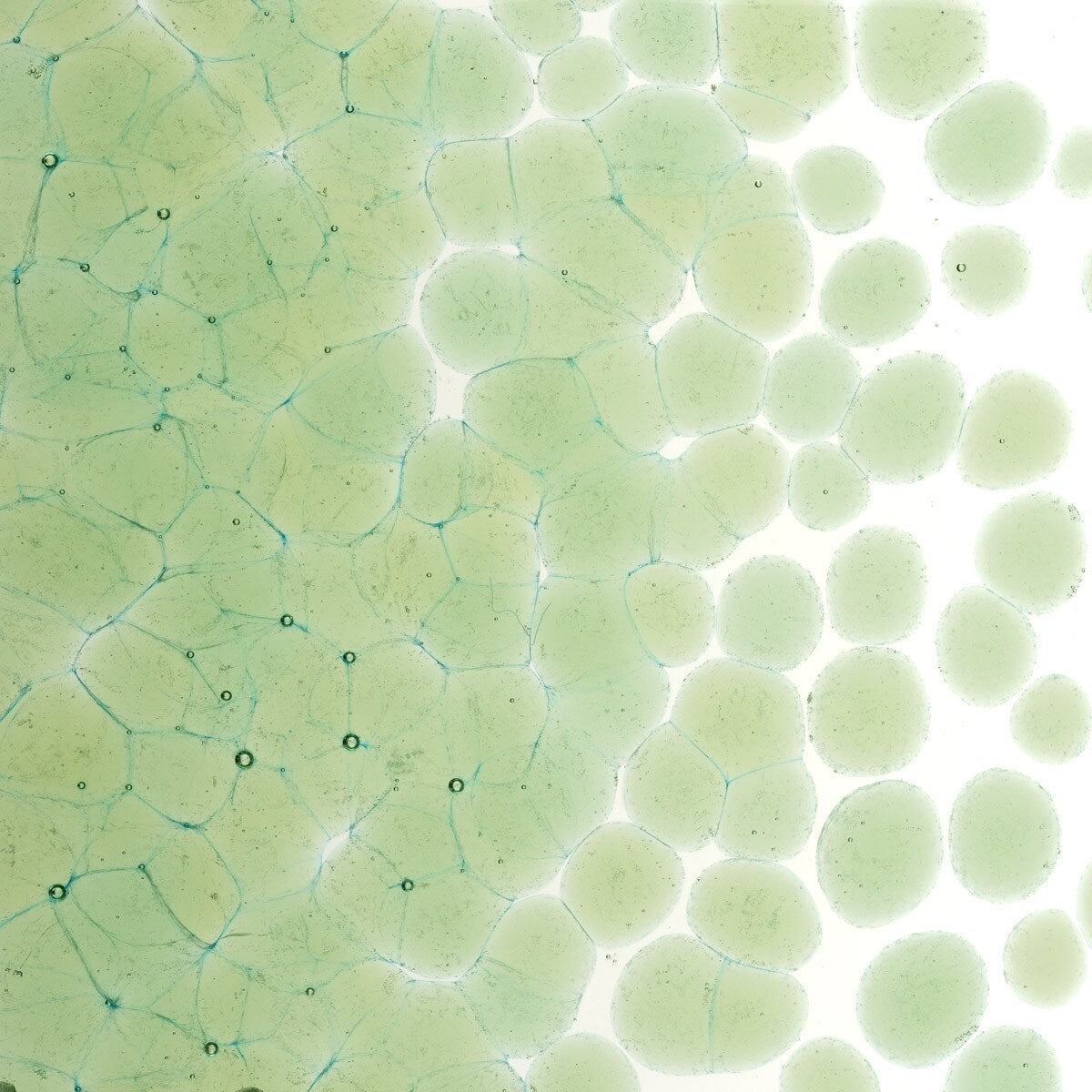 1217 Leaf Green Transparent Frit