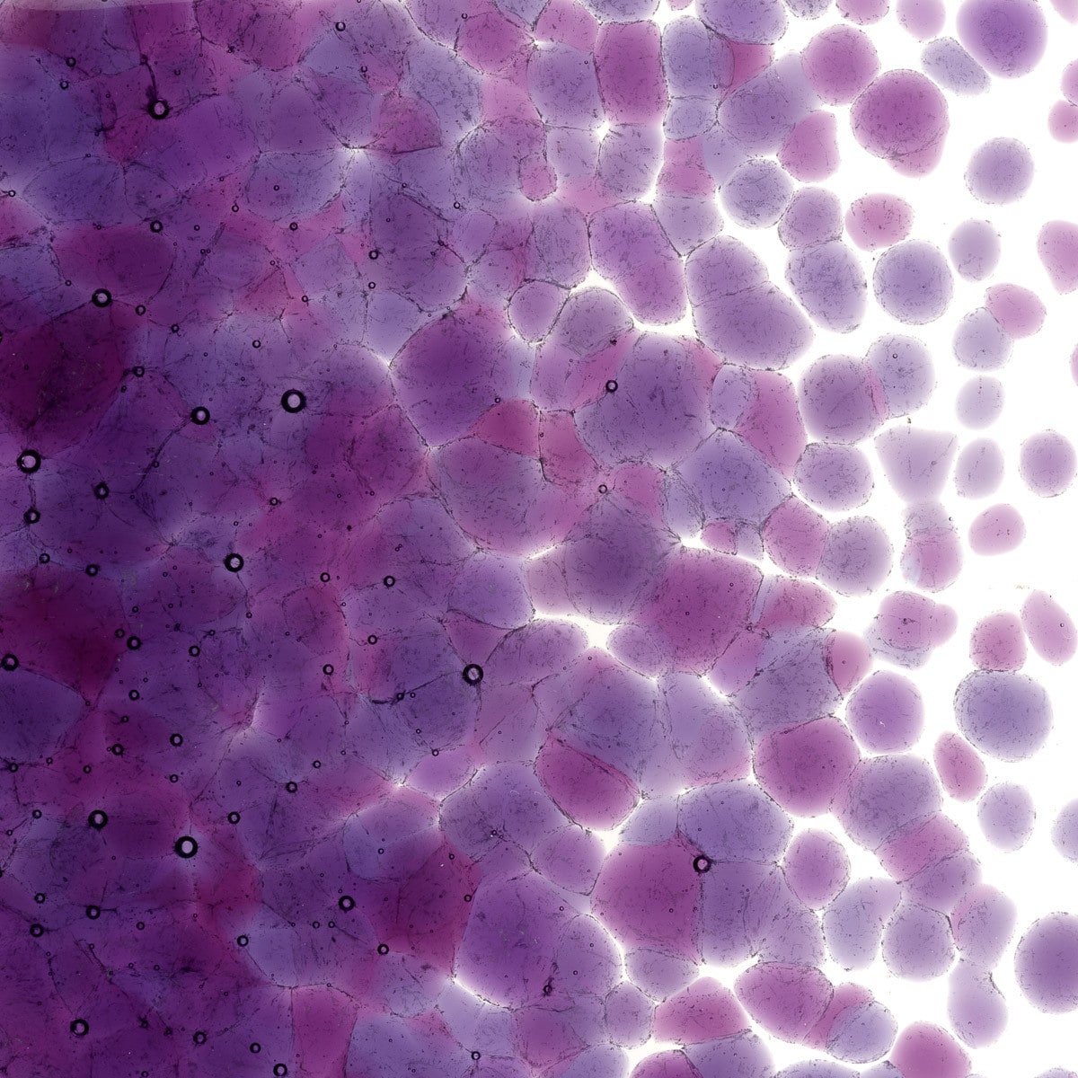 1234 Violet Transparent Frit