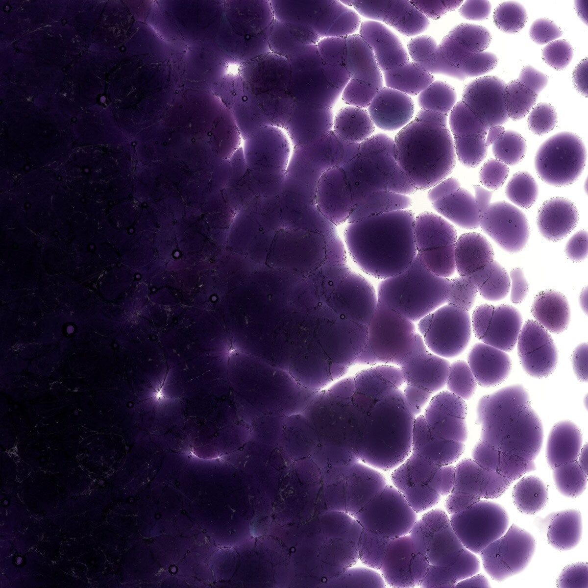 1334 Gold Purple Transparent Frit