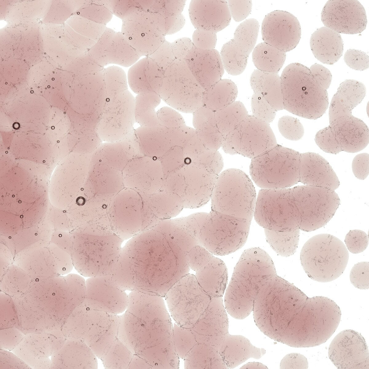 1405 Light Plum Transparent Frit