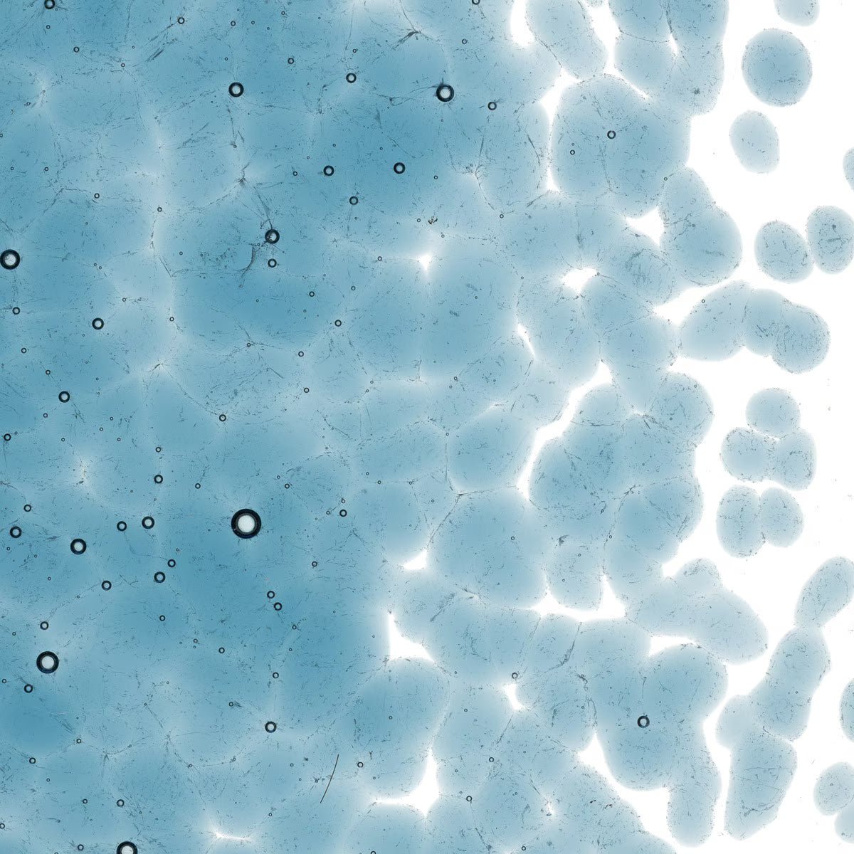 1406 Steel Blue Transparent Frit