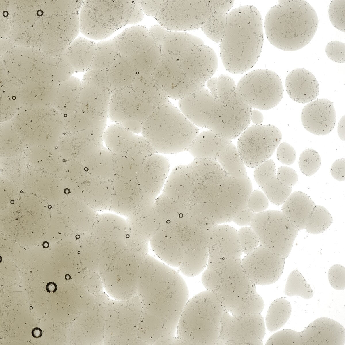 1439 Khaki Transparent Frit