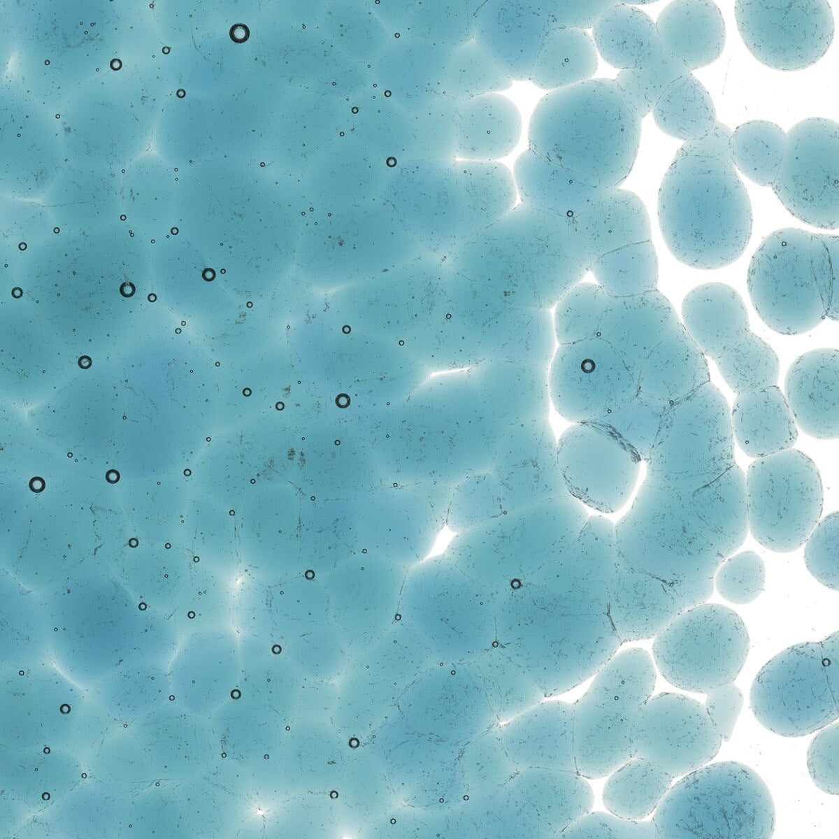 1444 Sea Blue Transparent Frit