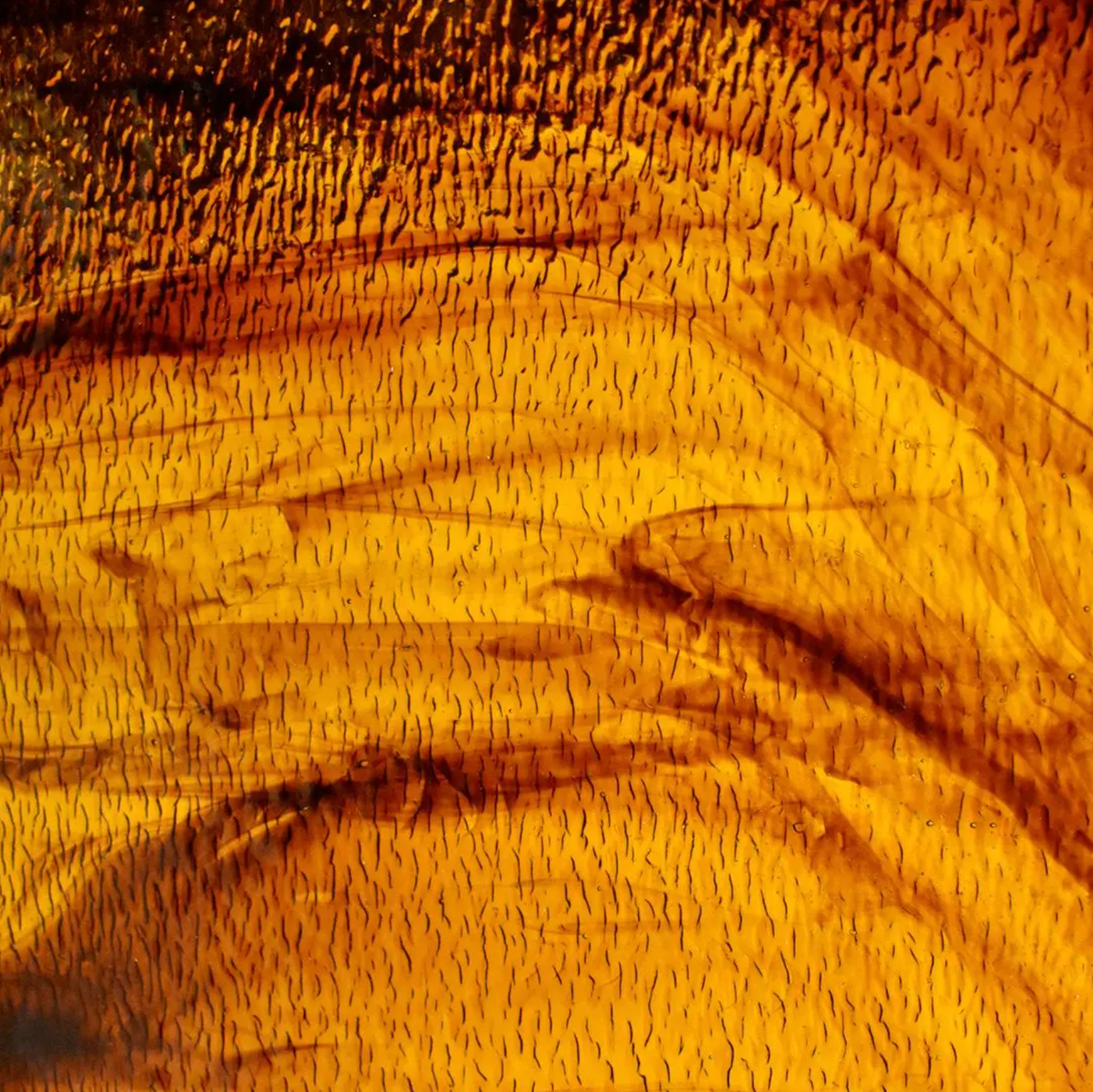 199LLG Medium Amber, Dark Amber Brown Streaky Granite