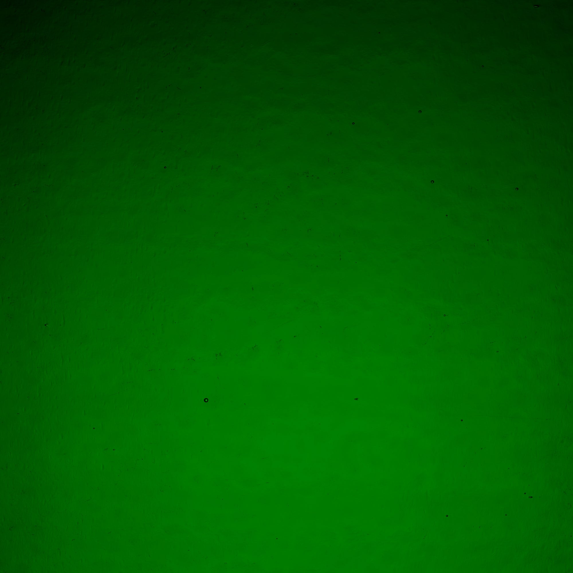 WI320DR Forest Green Double Rolled