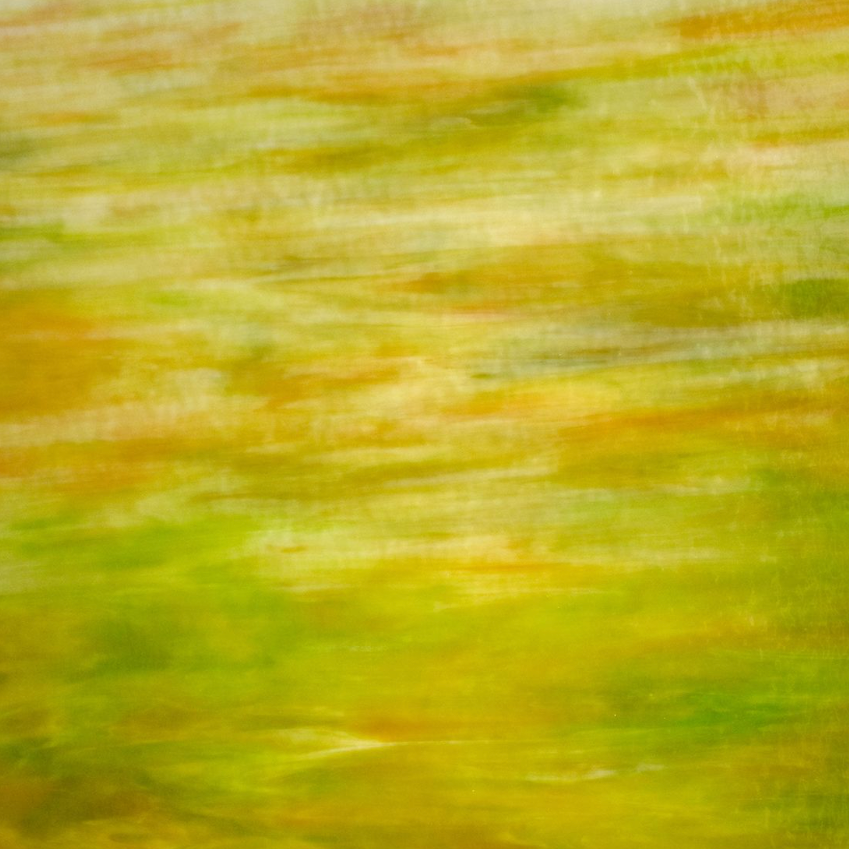 55DG Green, White, Amber