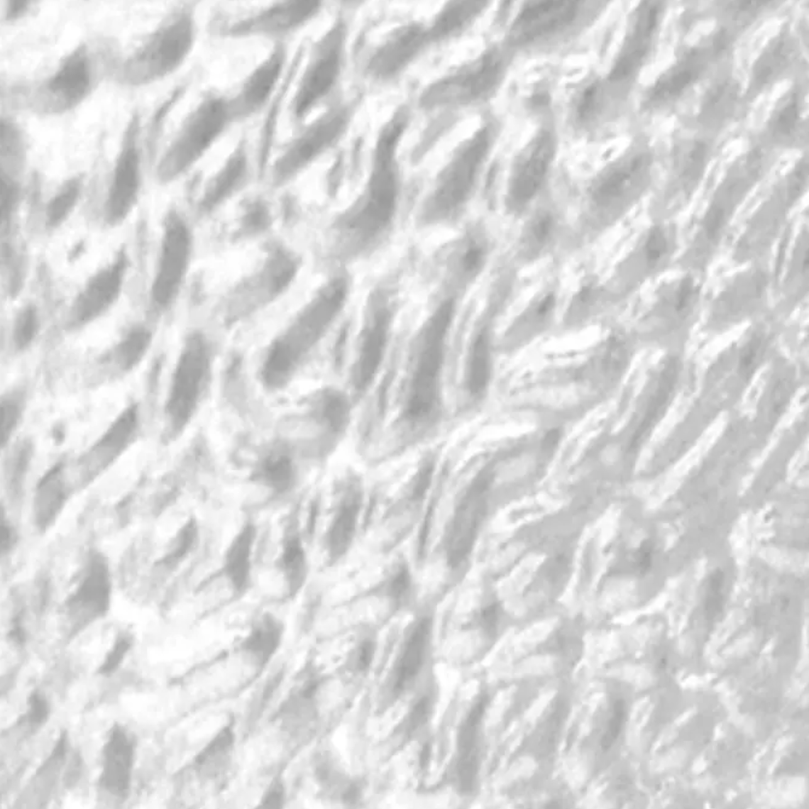 WIEM01 Crystal Clear English Muffle