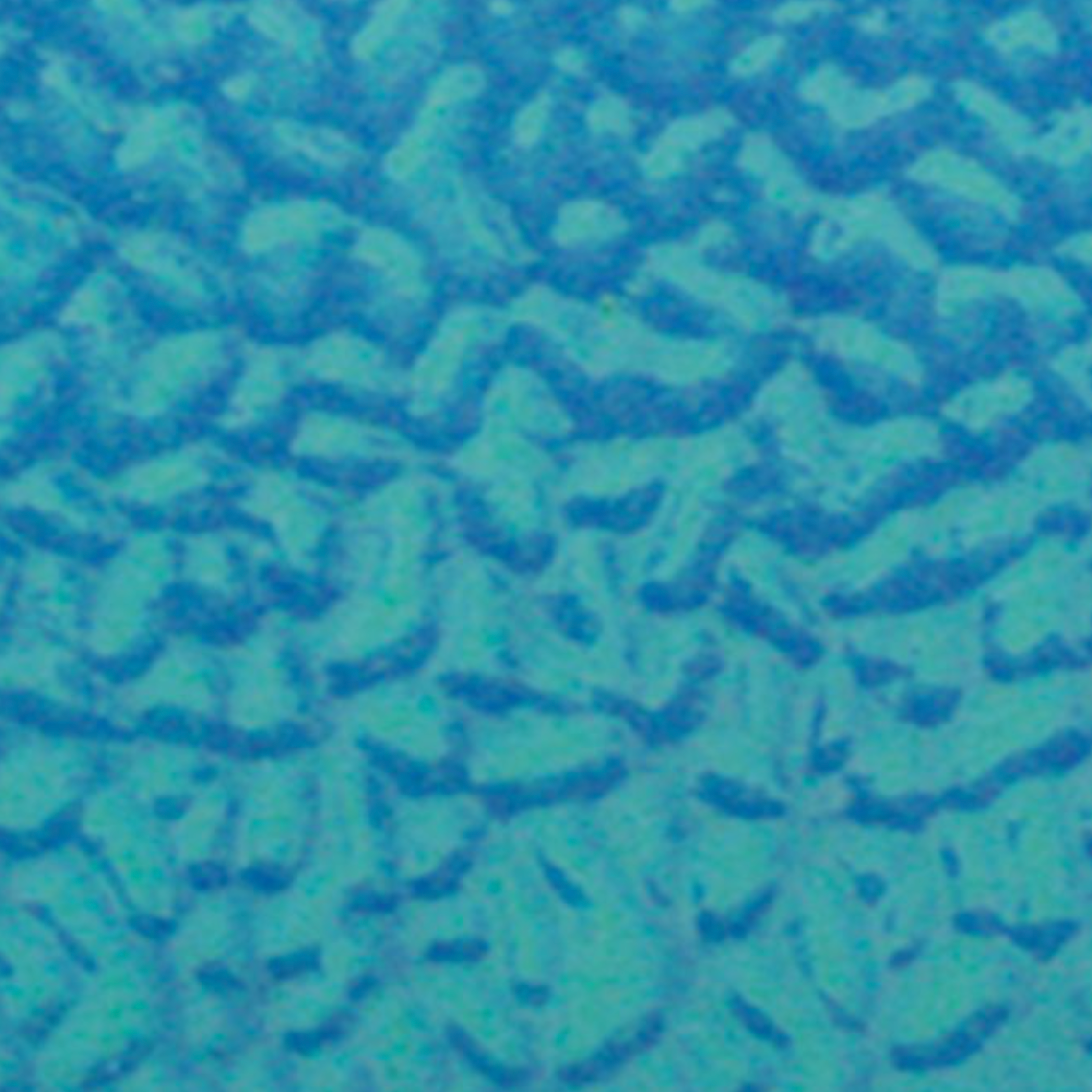 WI EM 190 Caribbean Blue English Muffle