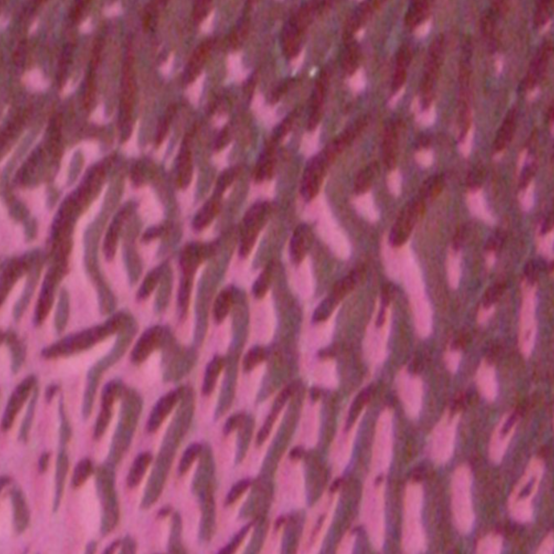 WI EM241 Pomegranate English Muffle