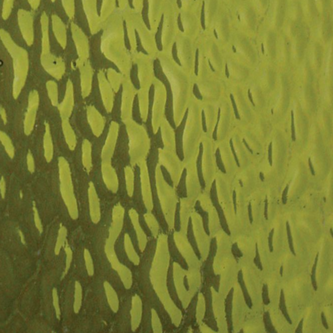 WIEM318 Khaki English Muffle