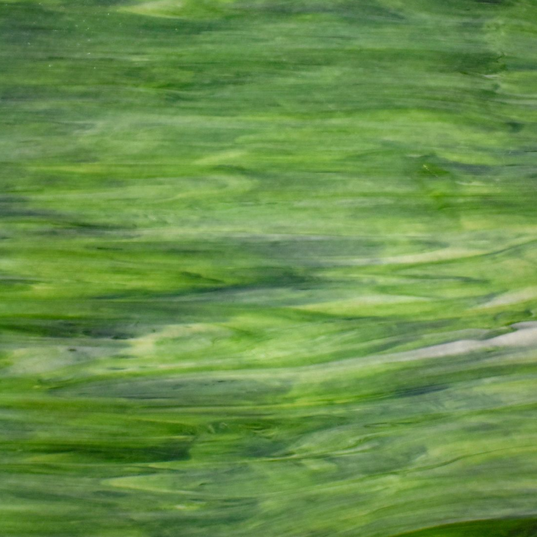 101DG Dark Green, White Opal Granite