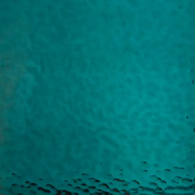 WI364CLA Teal Blue Corella Classic