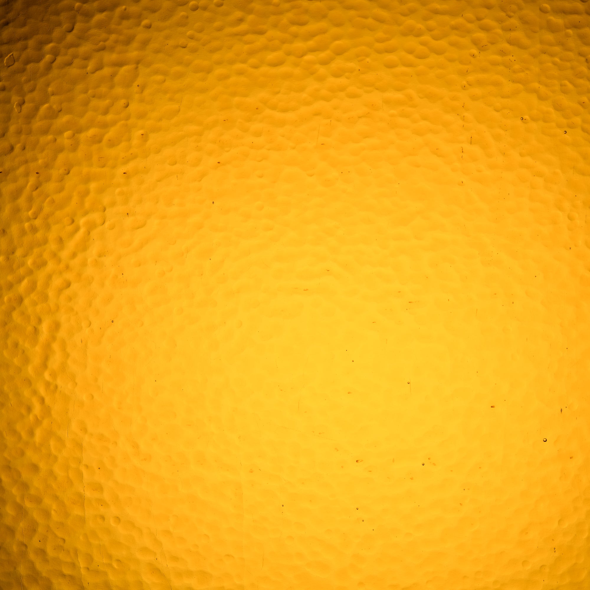 49CLA Medium Amber Corella Classic