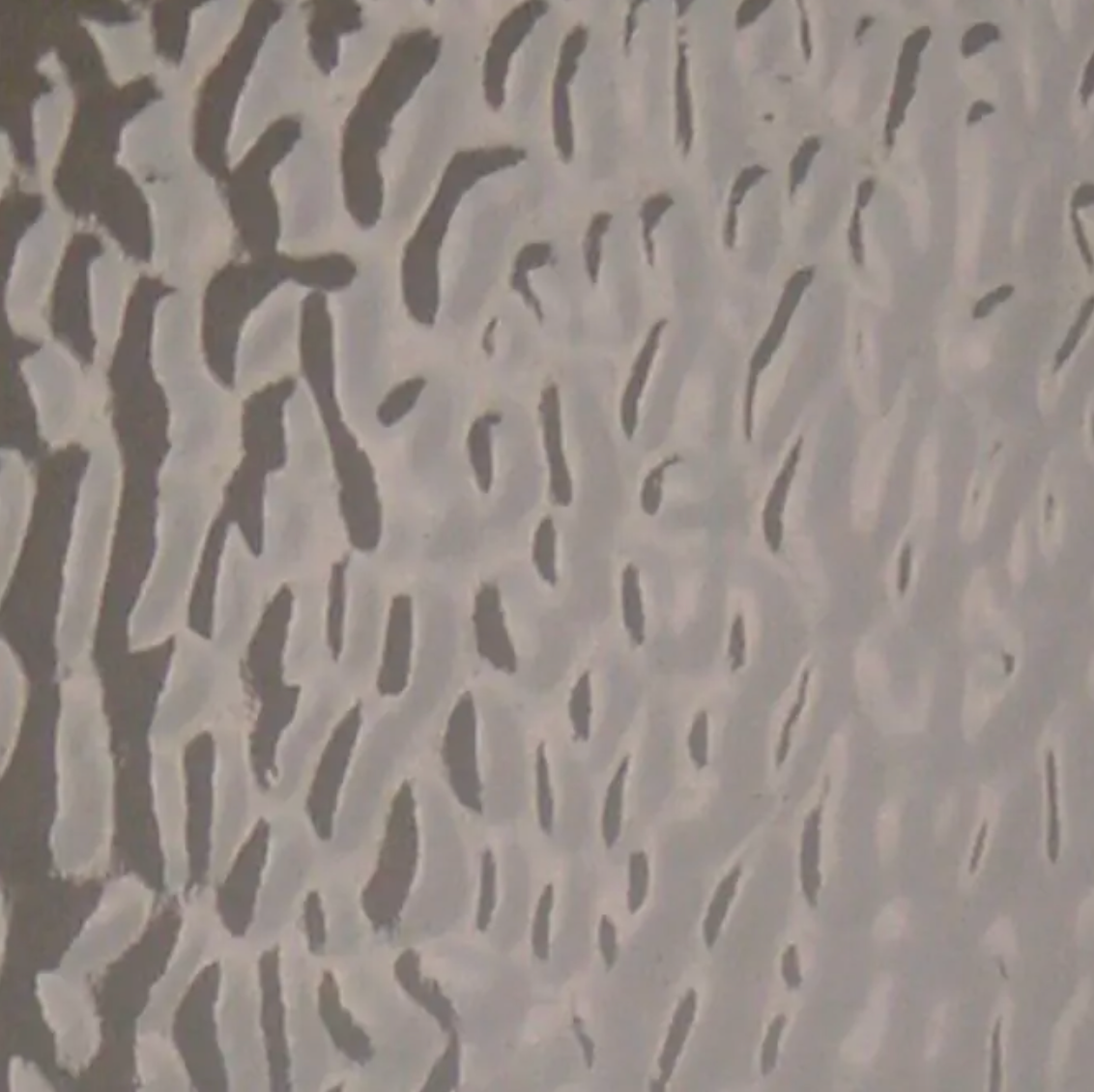 WIEM555 Light Gray English Muffle