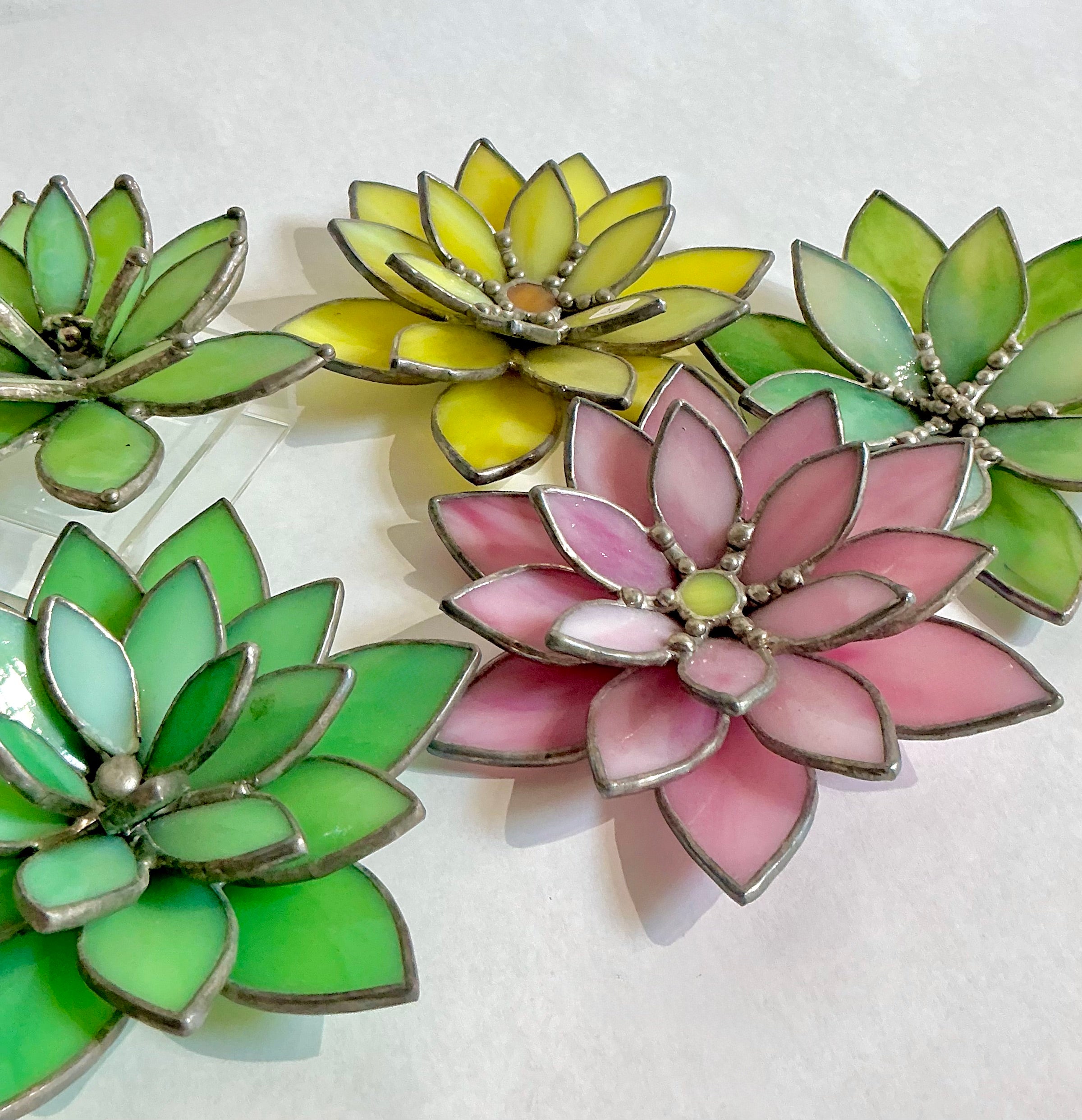 Stained Glass Succulents and Water Lilies | Saturdays, May 2 -  May 9