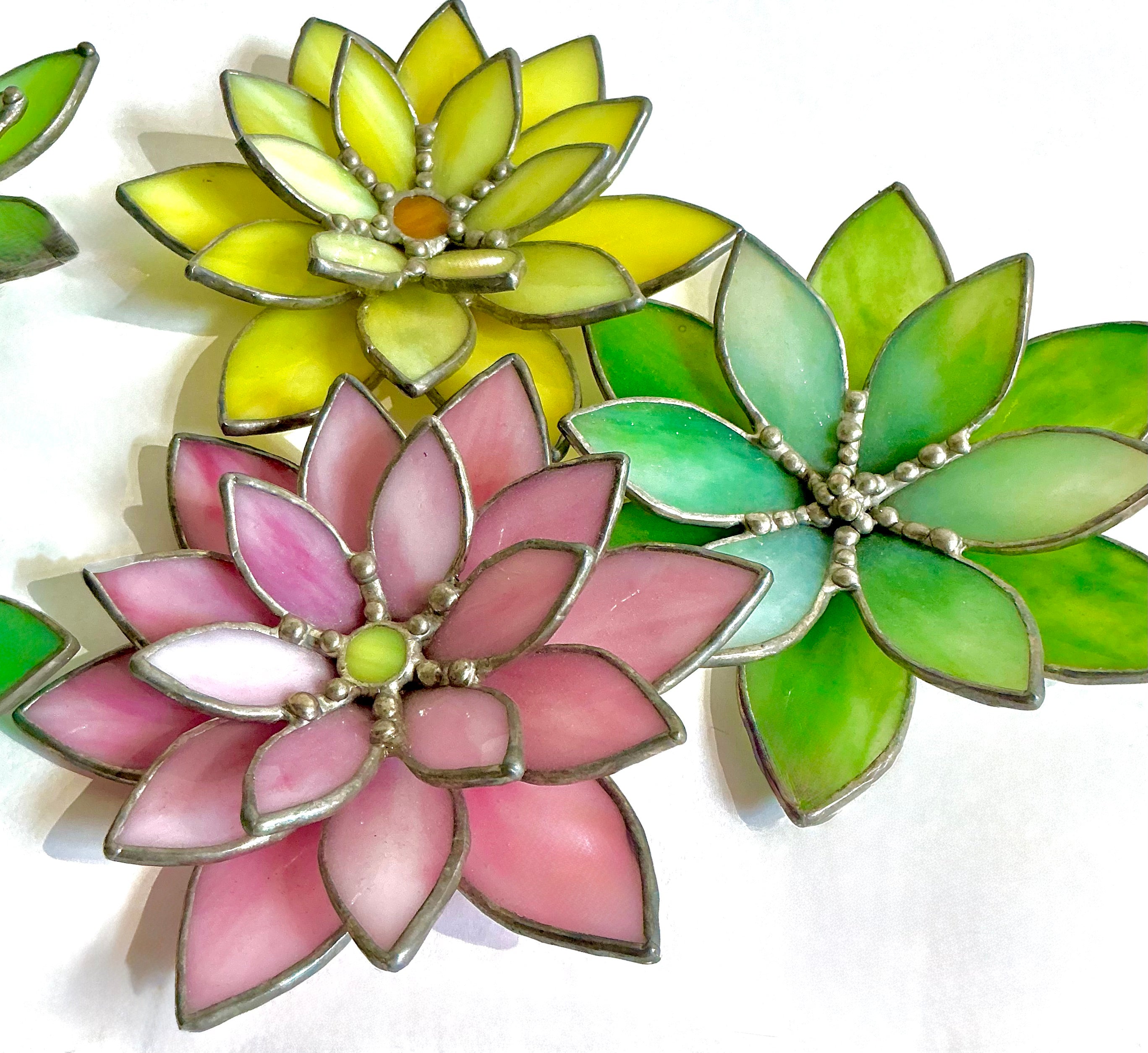 Stained Glass Succulents and Water Lilies | Saturdays, May 2 -  May 9
