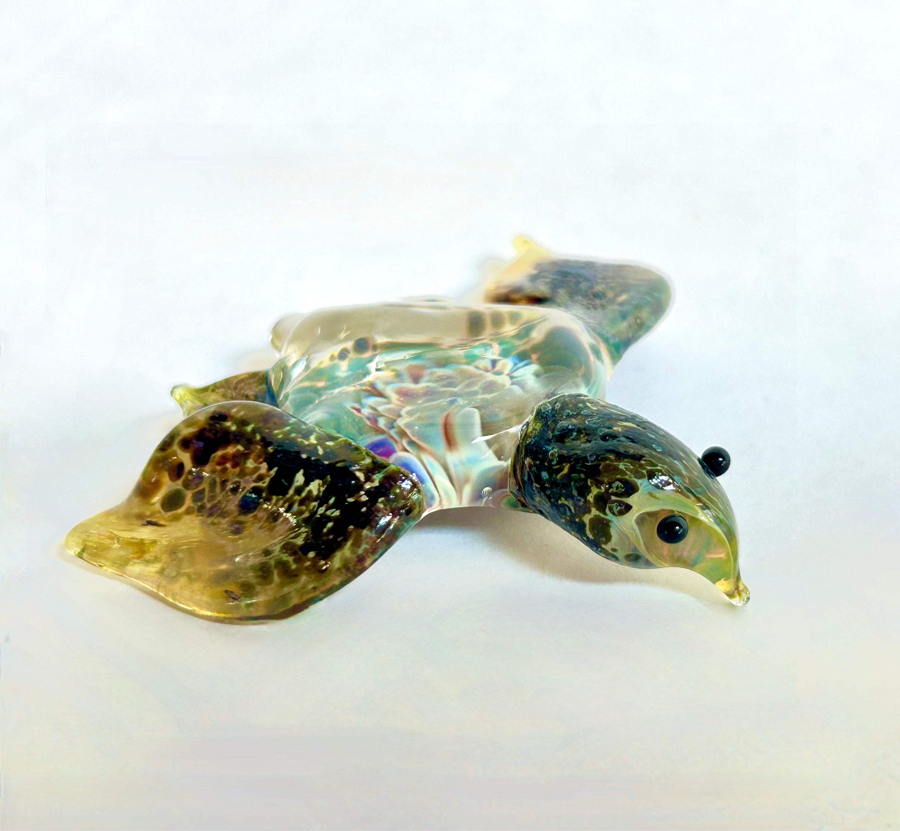 Try-iT! Glass Menagerie Tortoise | Thursday, May 7