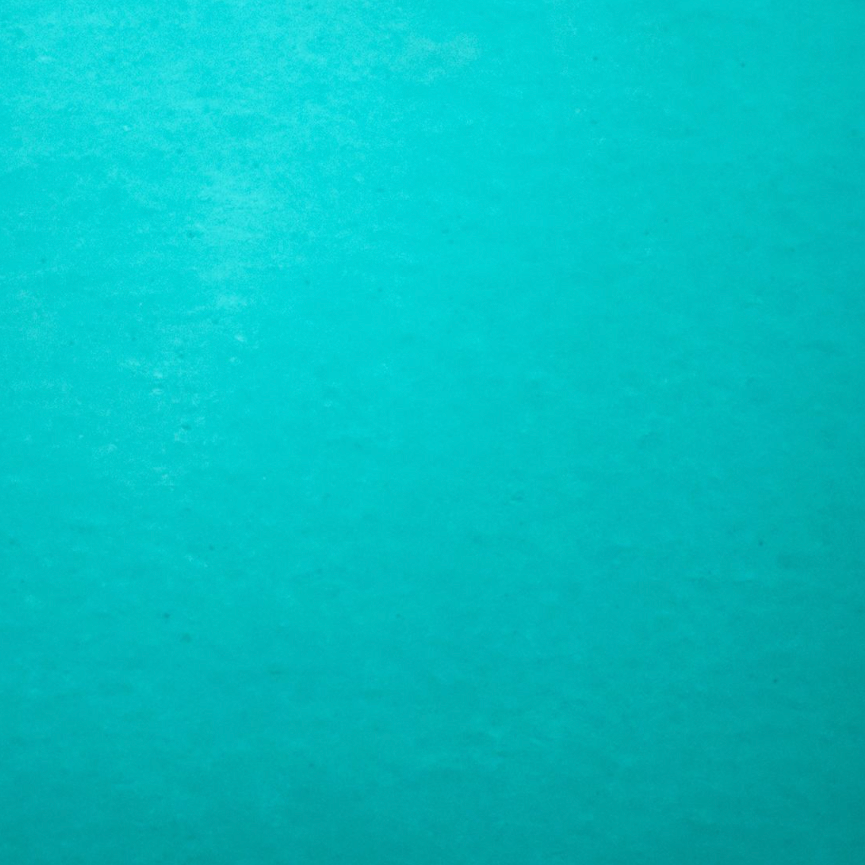 25DR Turquoise Double Rolled